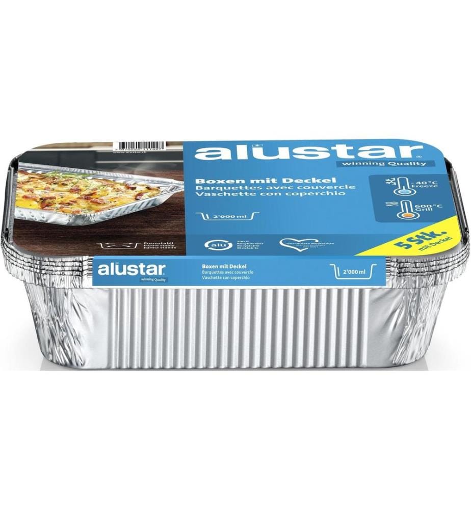 ALUSTAR - Grillschale 26 x 19 x 5.6 cm, 5 Stück