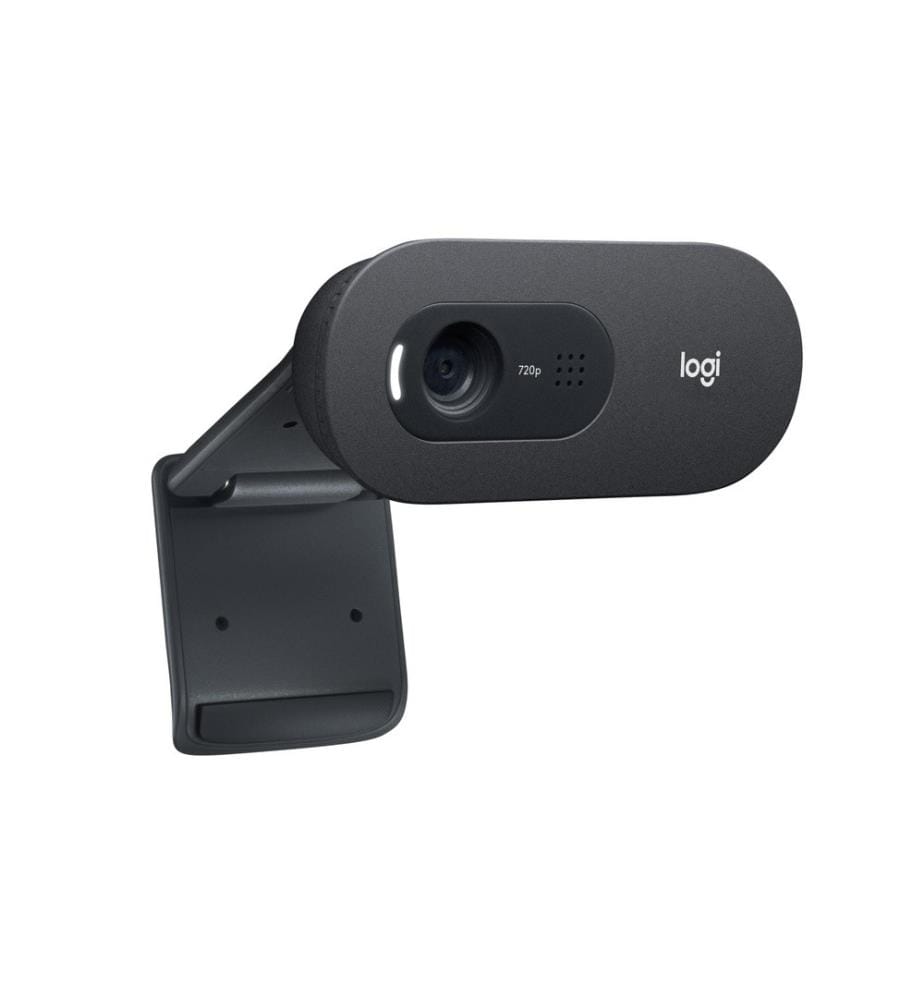 LOGITECH - Webcam C505e HD Bulk