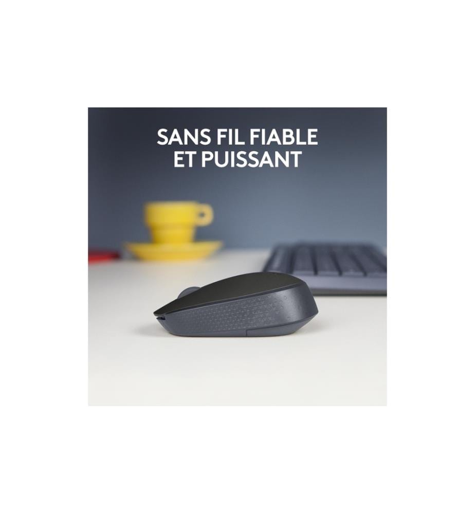 LOGITECH - Souris B170