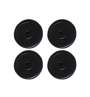 Hantelscheiben 4 Stk. 20 kg