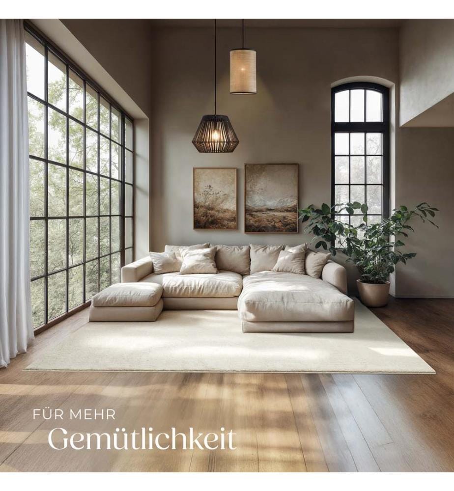 Kurzflorteppich Soft Zone - creme, 200 x 290 cm