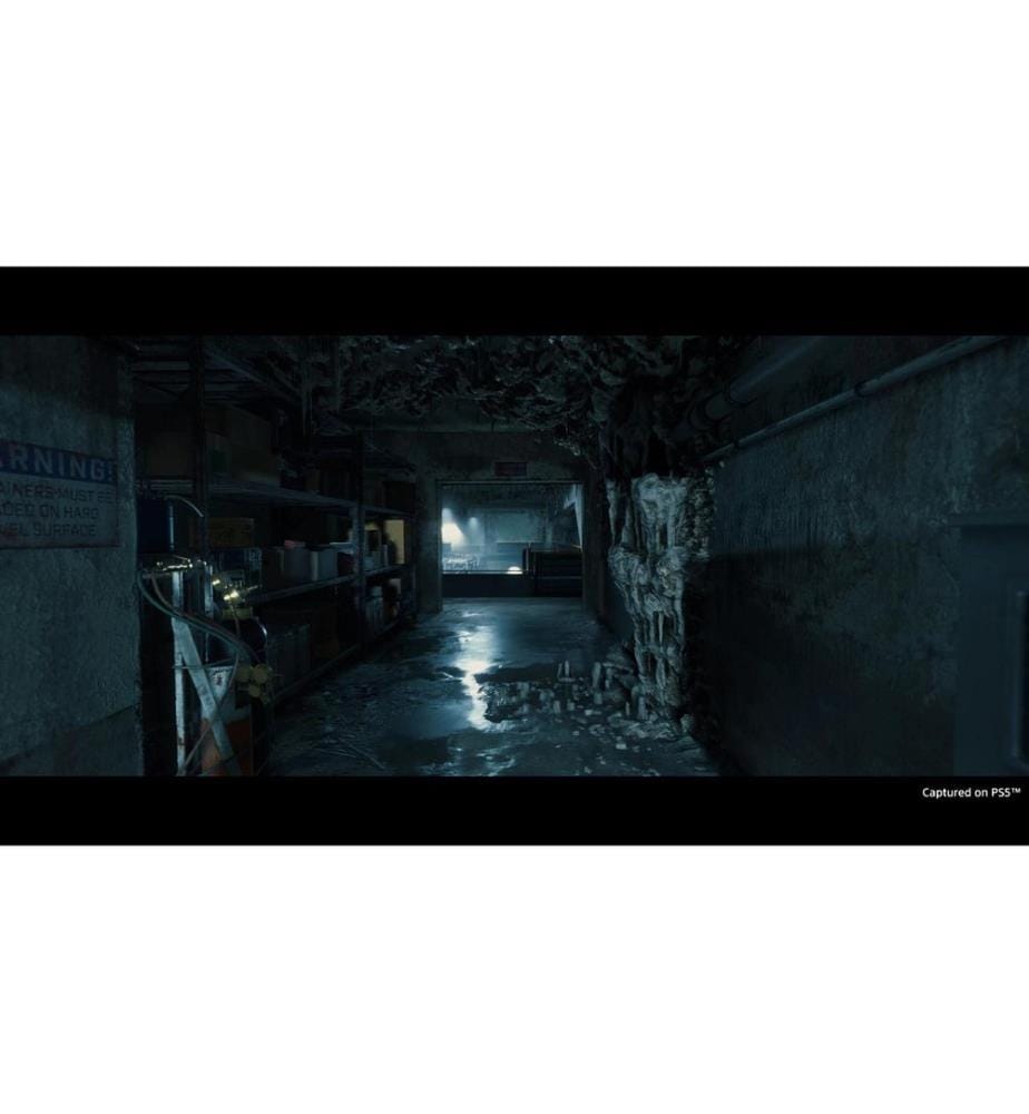 SONY - Death Stranding Director`s Cut