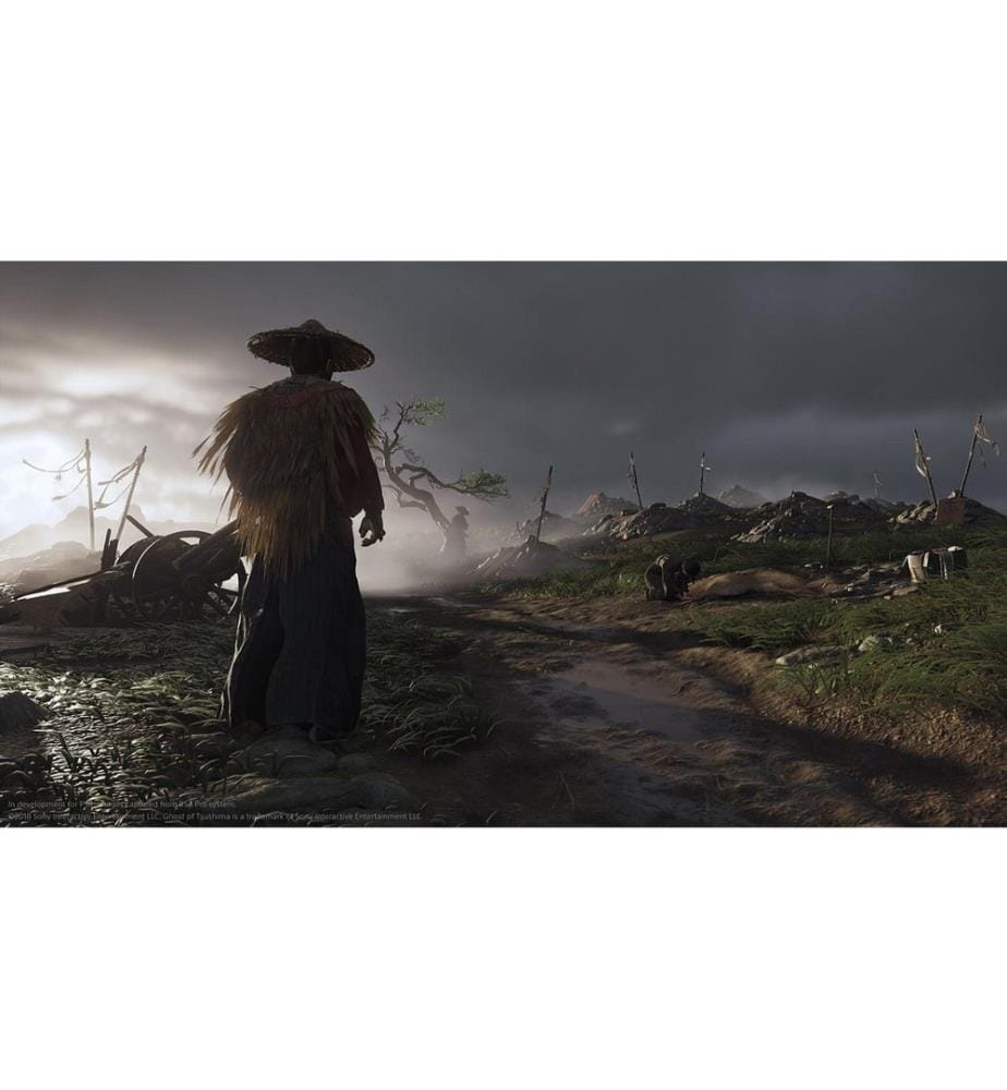 GAME - Ghost of Tsushima: Director`s Cut