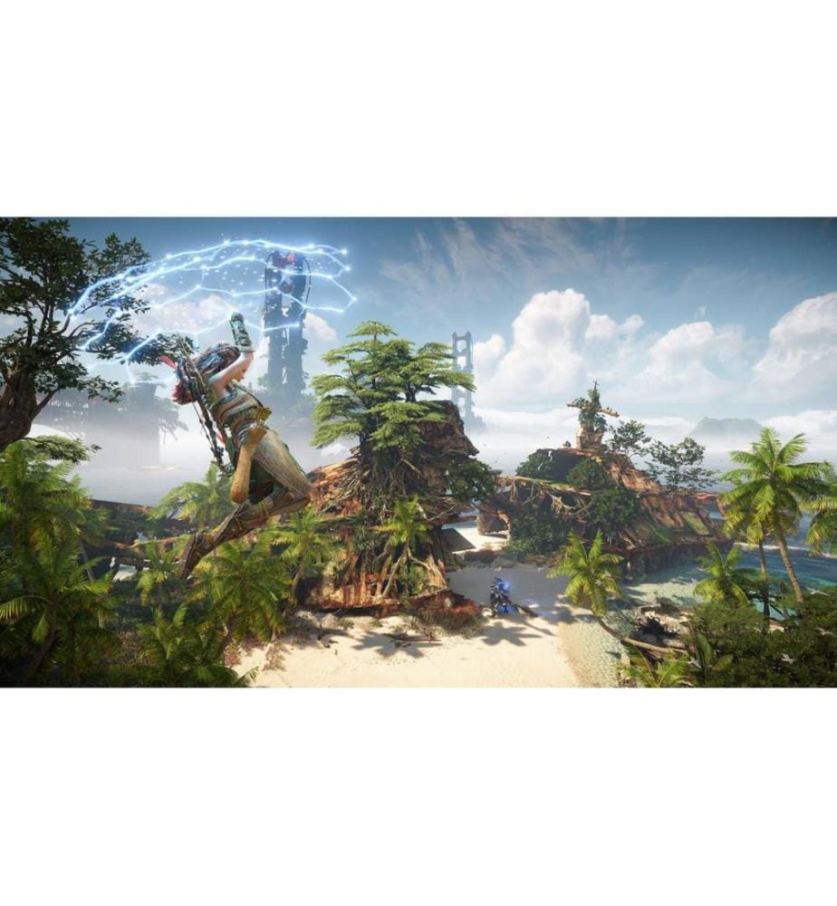 SONY - Horizon Forbidden West (Boîte)