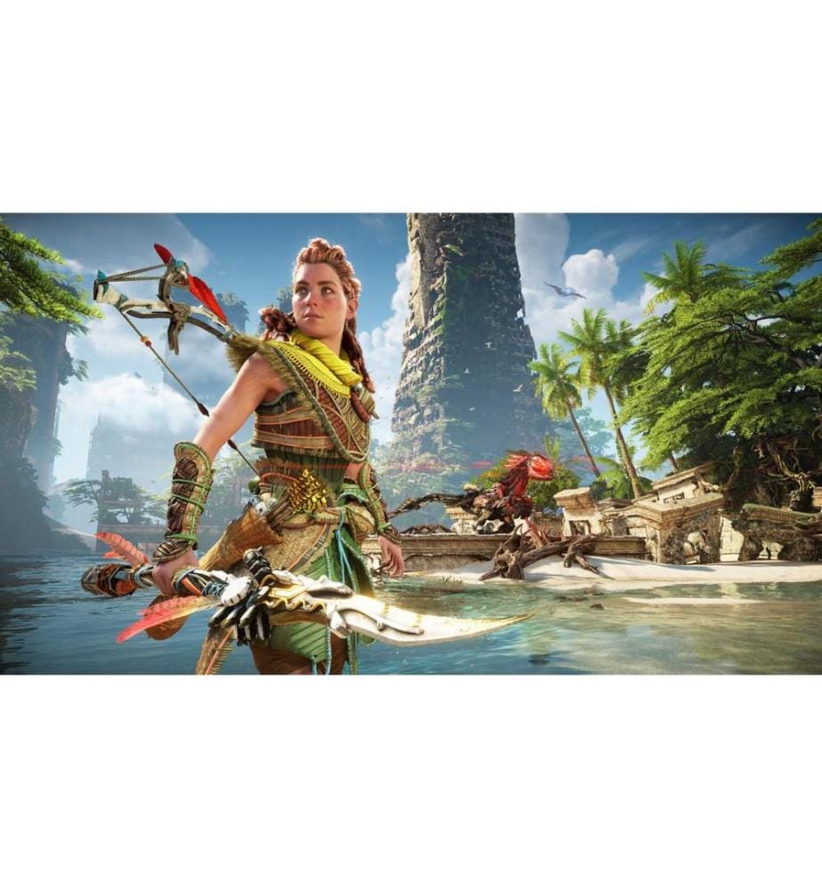 SONY - Horizon Forbidden West (Boîte)