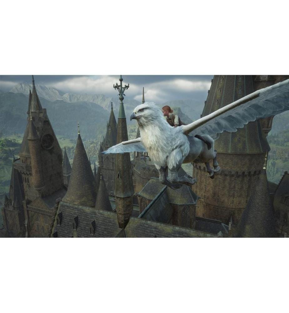 WARNER BROS -. Interactive Hogwarts Legacy (Game Key Card) (Carte de jeu)