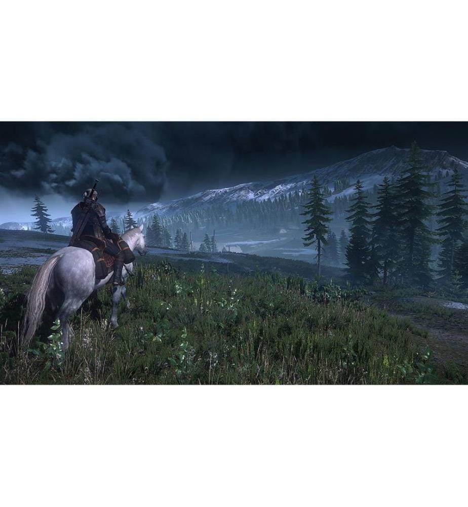 Bandai Namco The Witcher 3: Wild Hunt (Box)