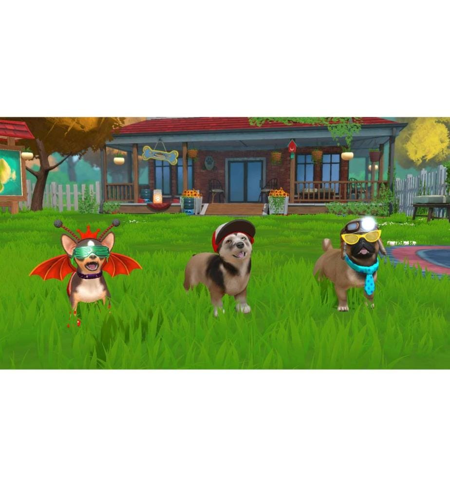 CentreSoft Little Friends: Puppy Island
