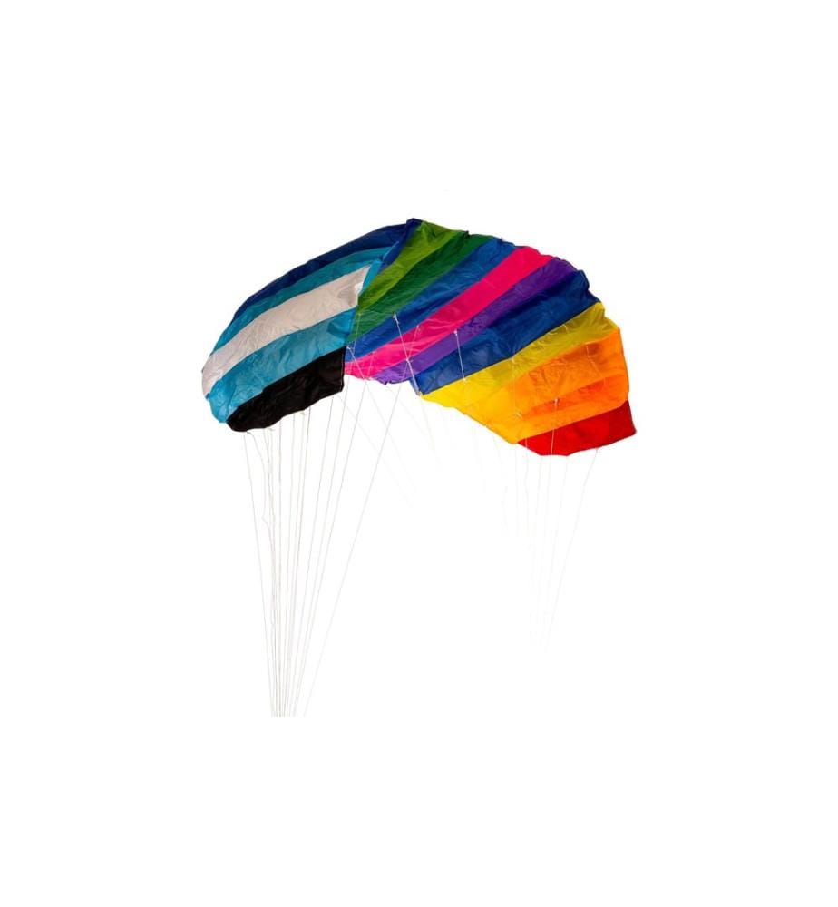 SCHILDKRÖT FUNSPORTS - Schildkröt Dual Line Sport Kite 2.0