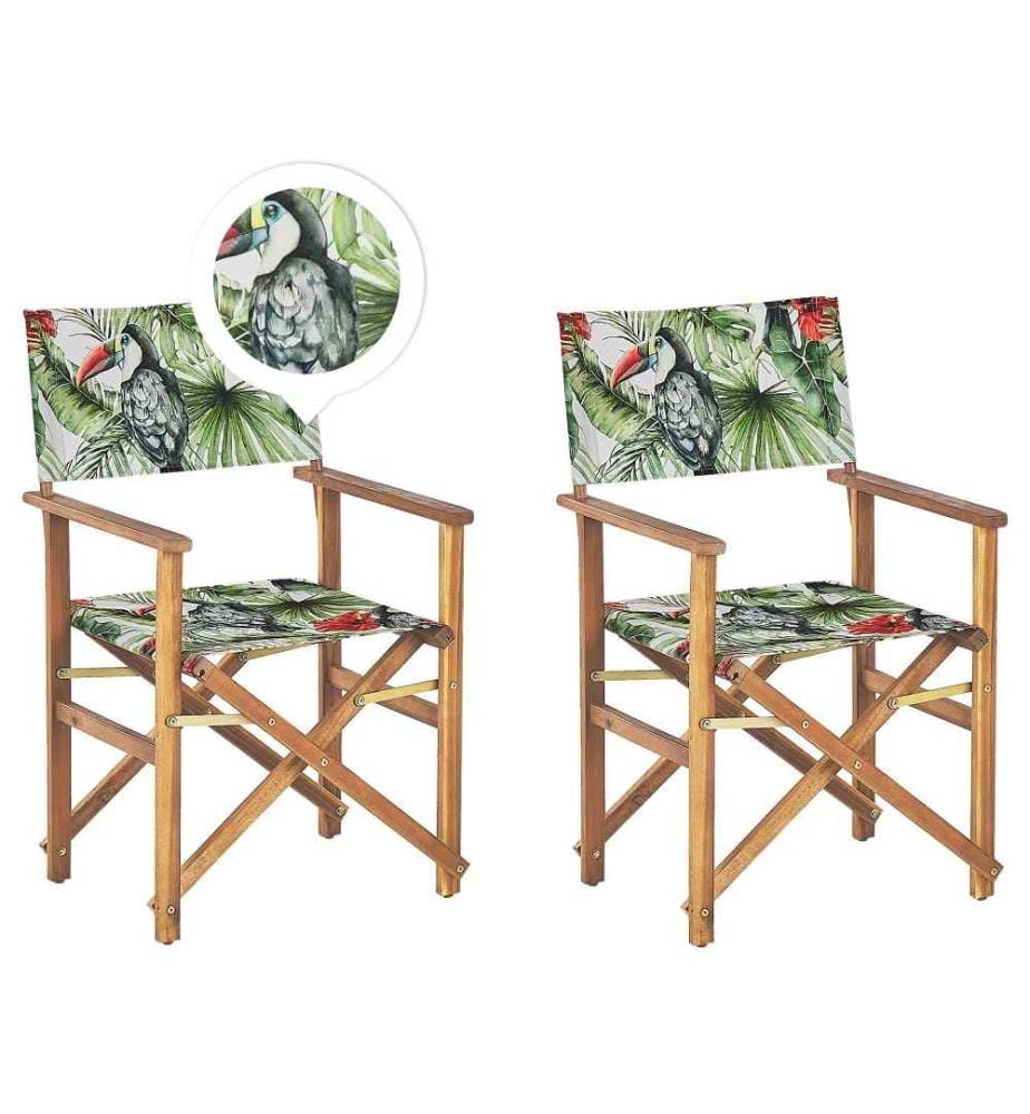 Lot de 2 chaises de jardin CINE Acacia Vert