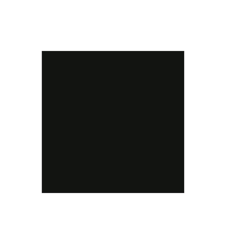 AMSTERDAM - Peinture acrylique Standard Series Oxyde noir opaque, 500 ml
