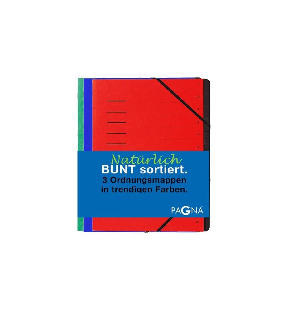 PAGNA - Classeur à compartiments Basic Set Bleu/Rouge/Vert