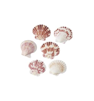 HOBBYFUN - Streudeko Muscheln 2 Natur