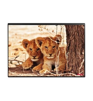 KOLMA - Sous-main Undercover Poster Lion, 50 x 34 cm