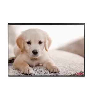 KOLMA - Sous-main Undercover Poster Chien, 50 x 34 cm