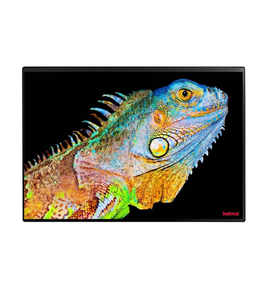 KOLMA - Sous-main Undercover Poster Exotic 50 x 34 cm