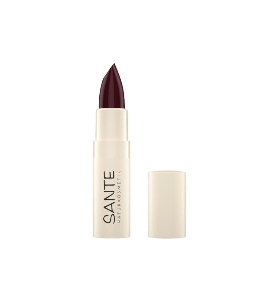 SANTE - Moisture Lipstick 08 Chestnut Glam