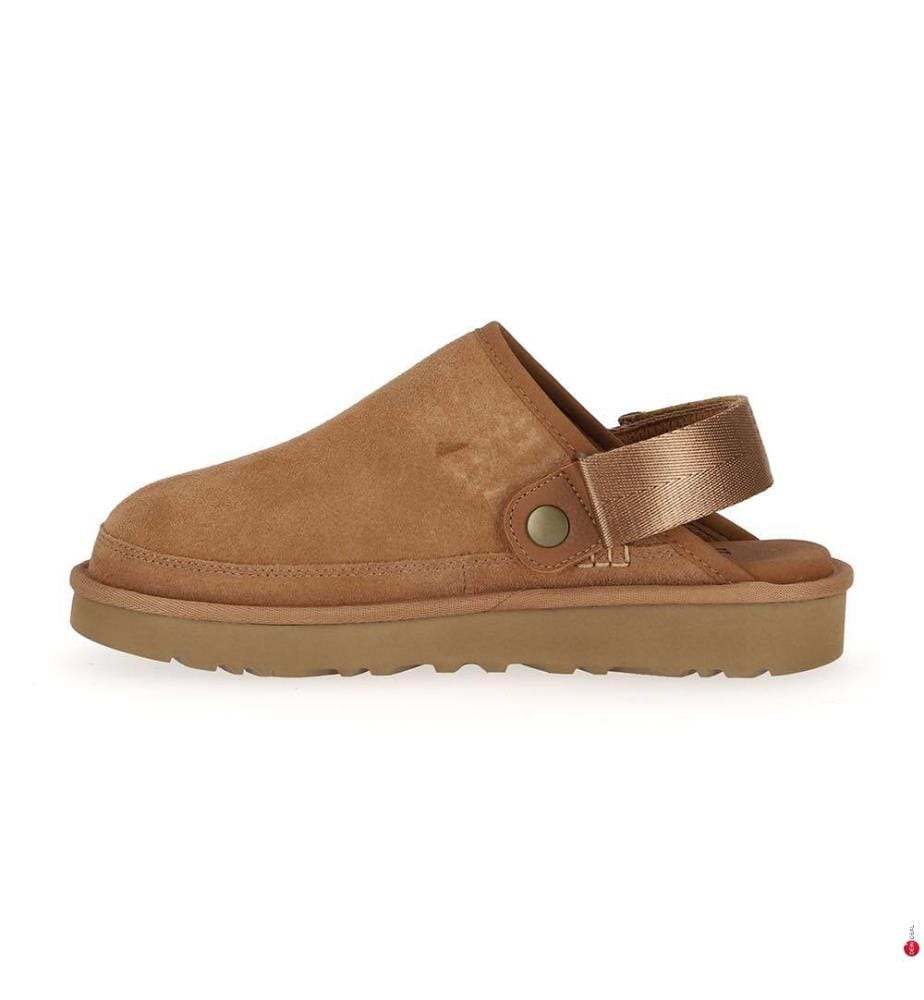 Chaussons Goldencoast Clog II - Marron