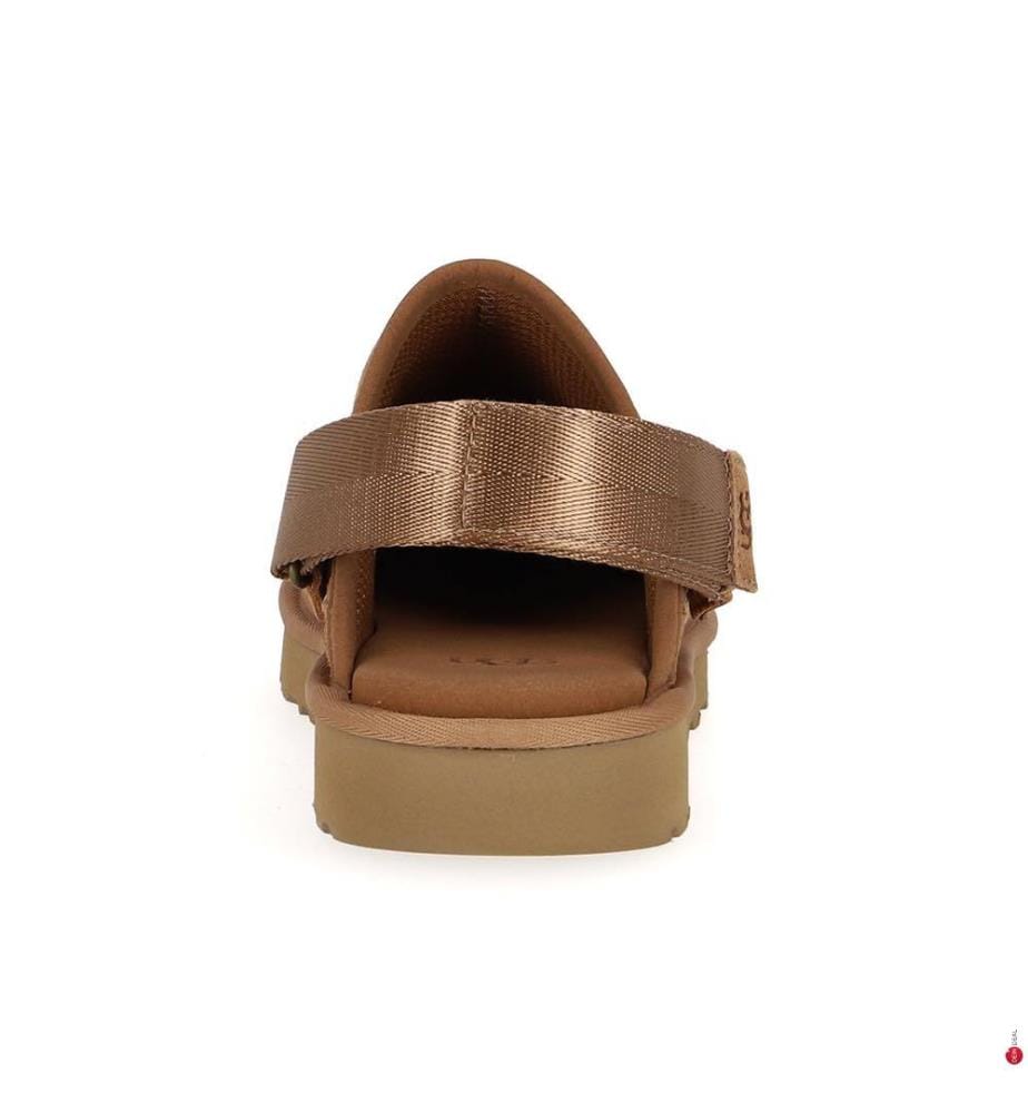 Chaussons Goldencoast Clog II - Marron