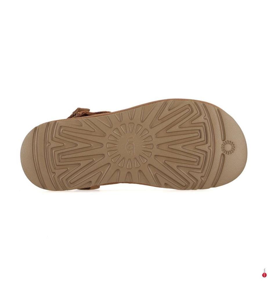 Chaussons Goldencoast Clog II - Marron