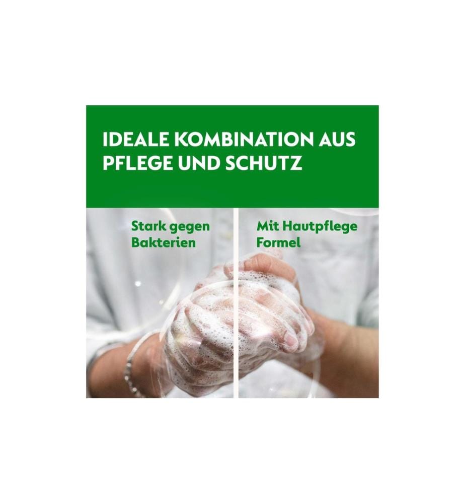 DETTOL - Handseife No-Touch Nachfüller Sheabutter & Rosenblüte 250 ml