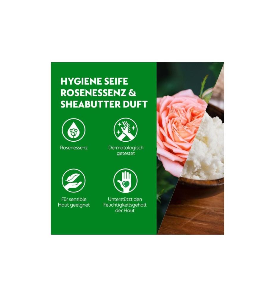 DETTOL - Handseife No-Touch Nachfüller Sheabutter & Rosenblüte 250 ml