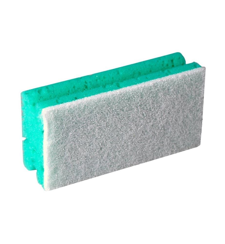 EDI BAUR - Éponge Profi 10 Pièce/s, vert/blanc