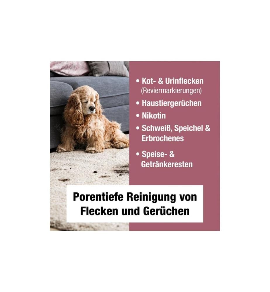Bio Chem - Geruchs- und Fleckenentferner 750 ml