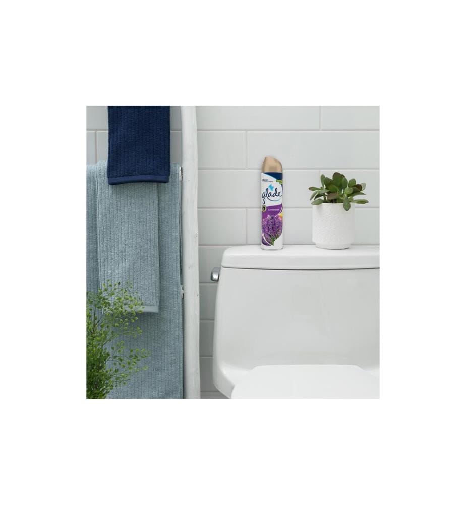 Glade - Parfum d'intérieur Relaxing Zen 300 ml