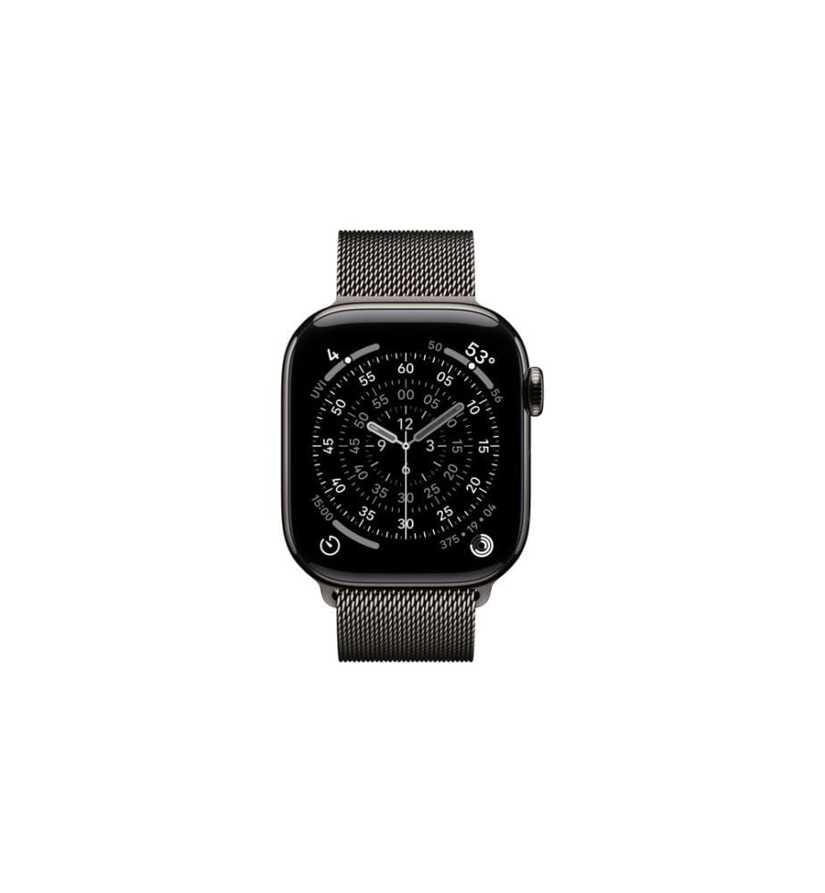 APPLE - Milanese Loop 42 mm Slate