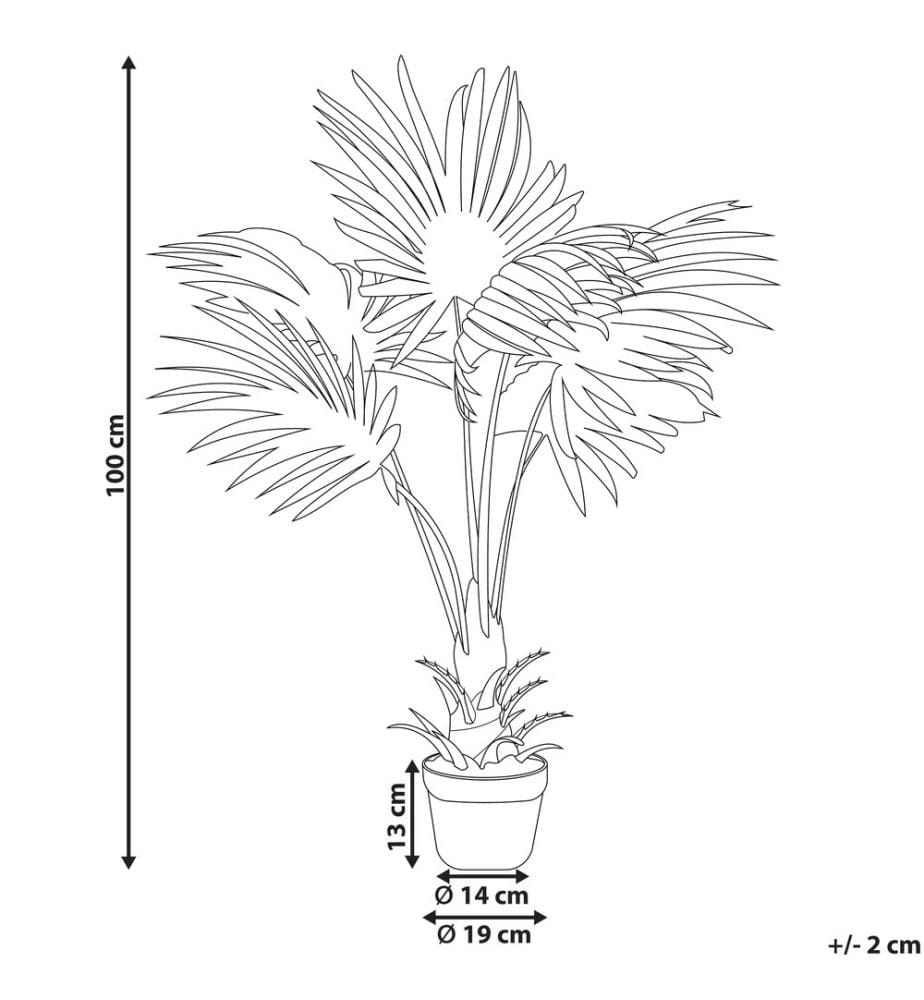 Pianta artificiale FAN PALM 100 cm Verde