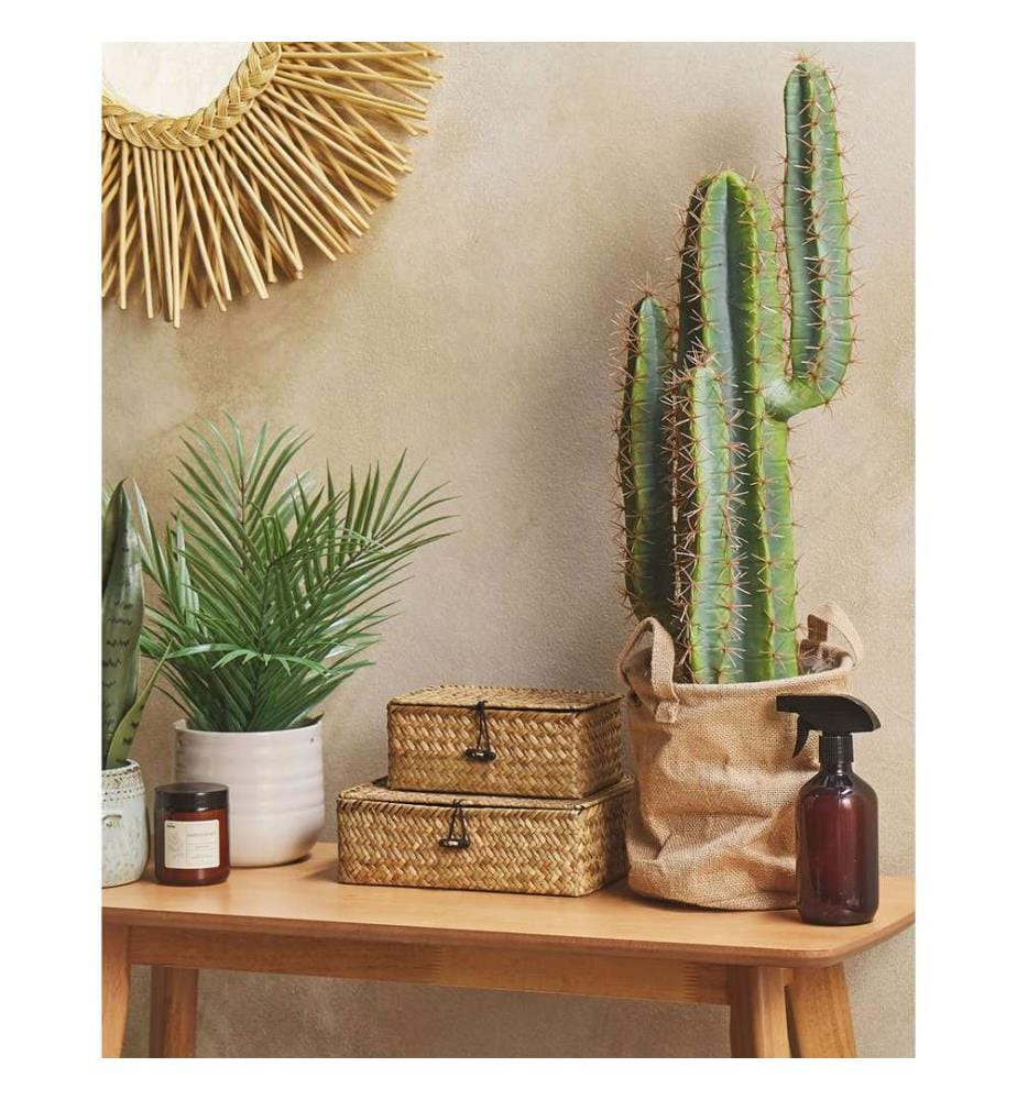 Pianta artificiale CACTUS 78 cm Verde