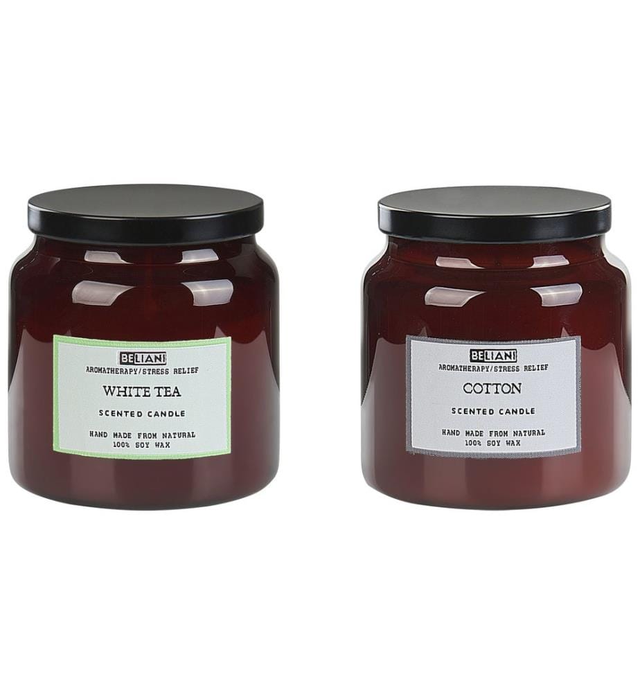 Lot de 2 bougies parfumées ABSOLUTE ALCHEMY Cire de soja Notes de fraîcheur
