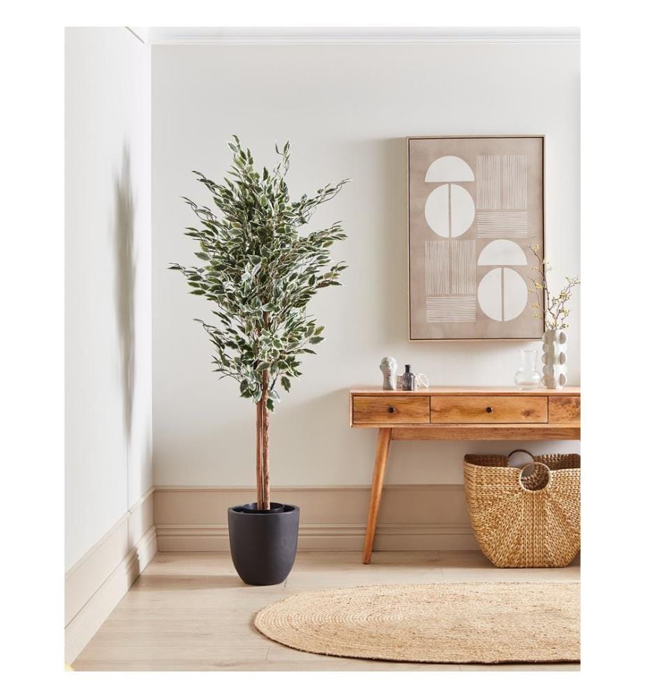 Pianta artificiale FICUS 167 cm Verde