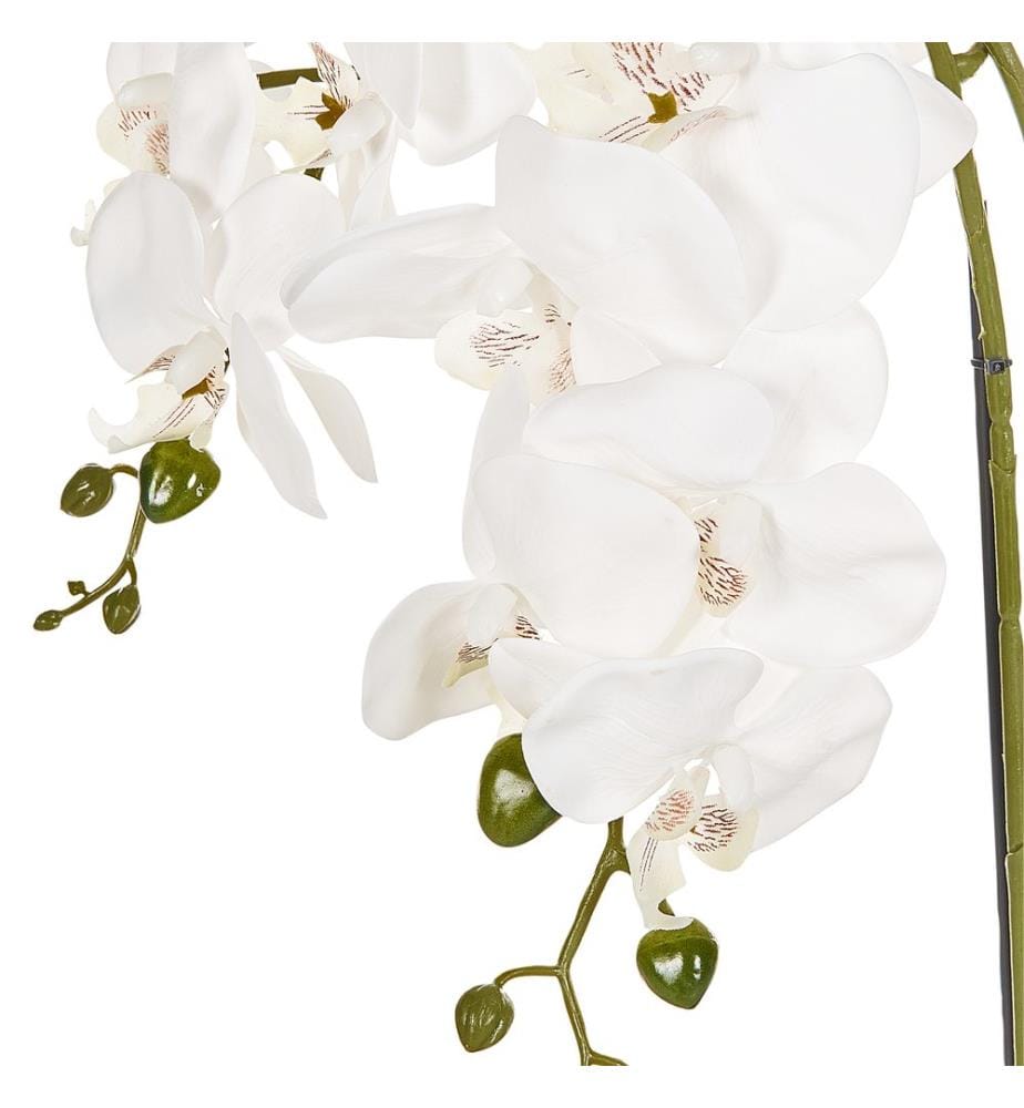 Pianta artificiale ORCHID 59 cm Bianco