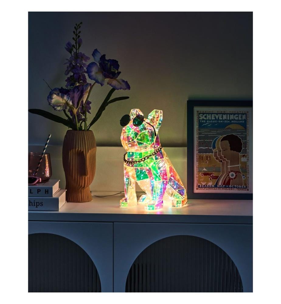LED Dekoration Hund JONKU Bunt