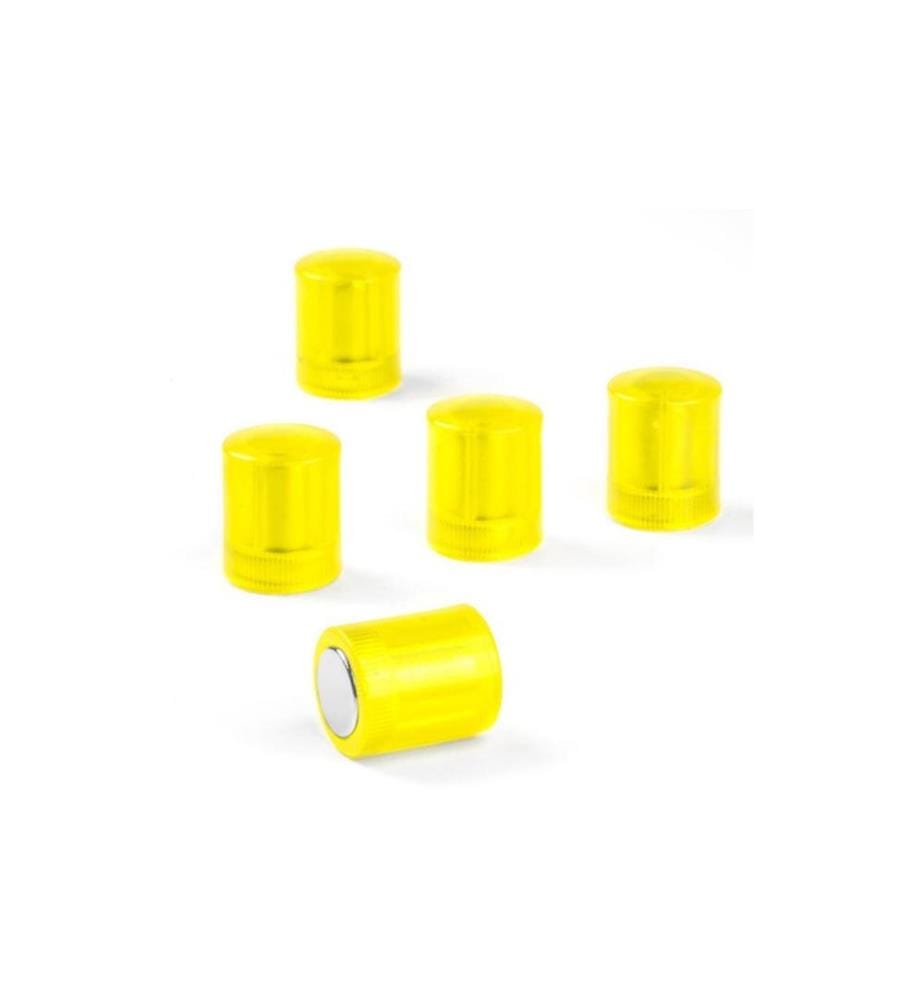 SUPERMAGNETE - Aimant Cylindrique 5 Pièce/s, Jaune/Transparent