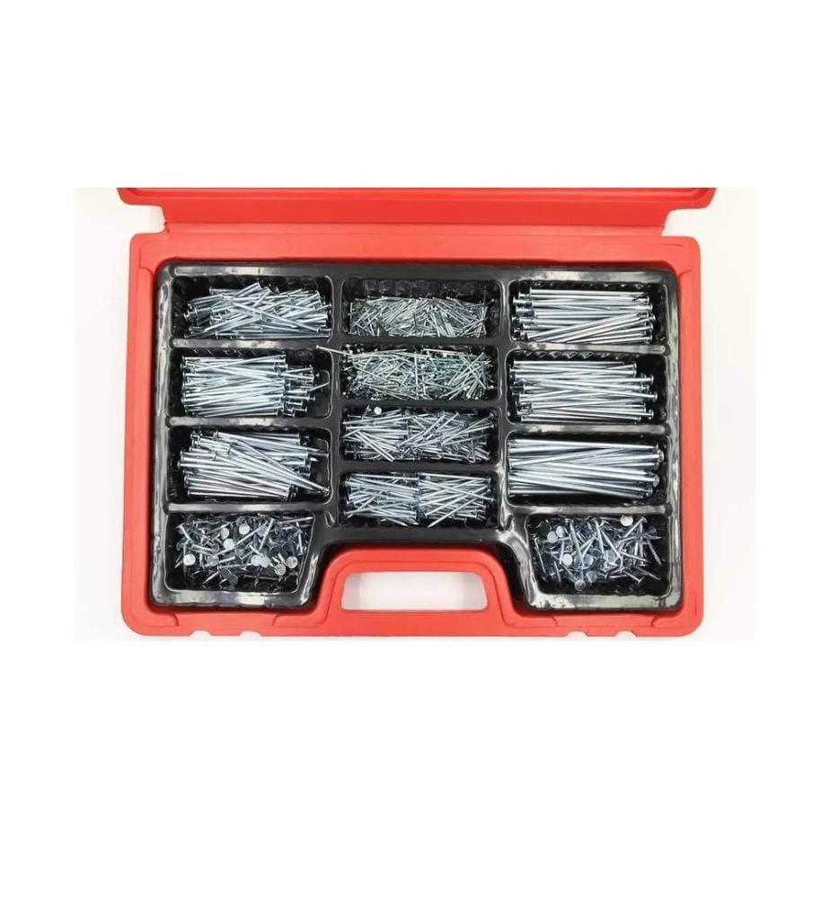 FERRONORM - Assortiment de clous Valise 2.8 kg