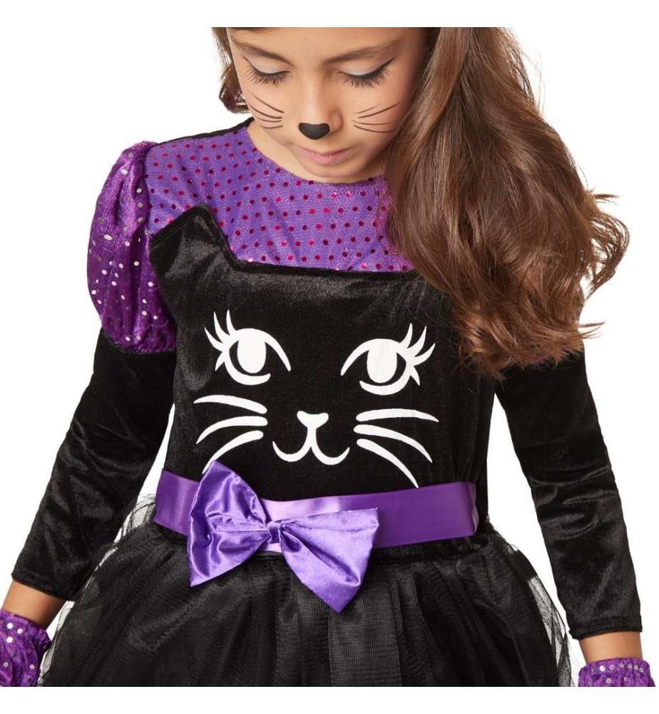 Joli chat câlin