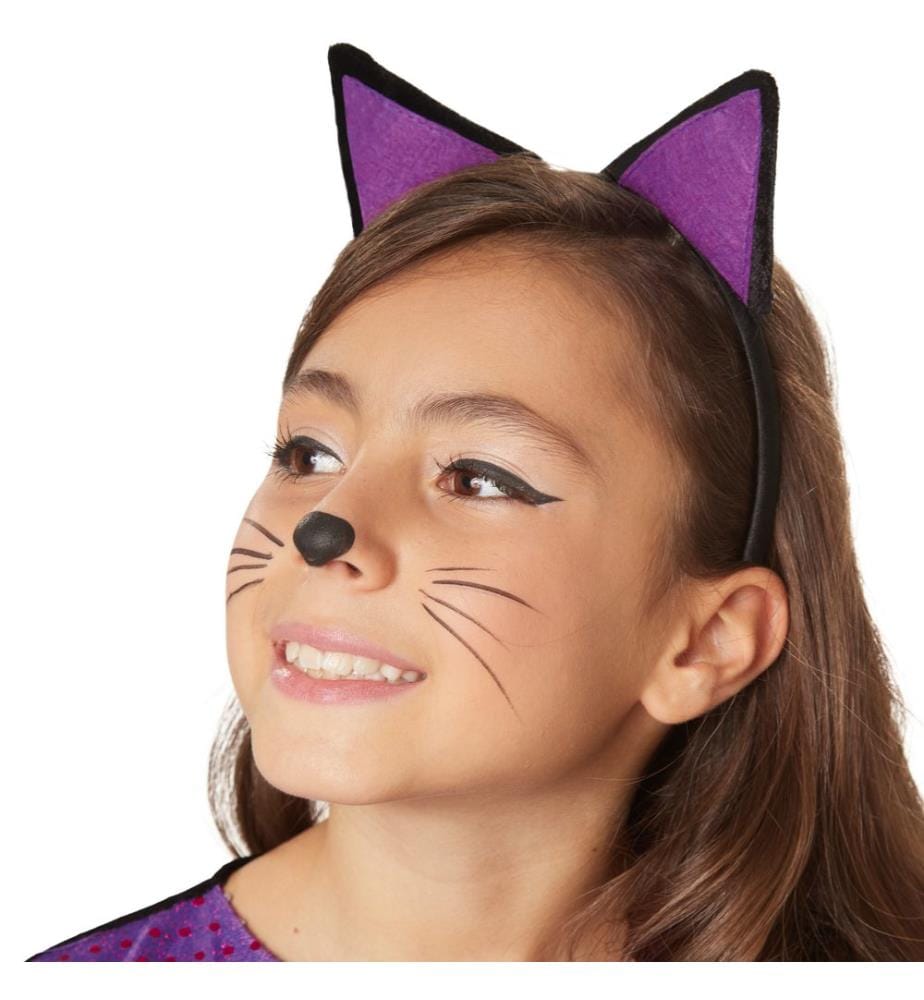 Joli chat câlin