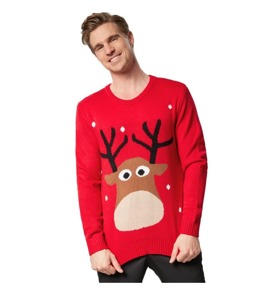 Pull de Noël Renne charmant