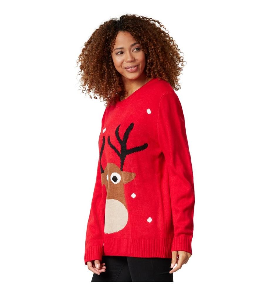 Pull de Noël Renne charmant