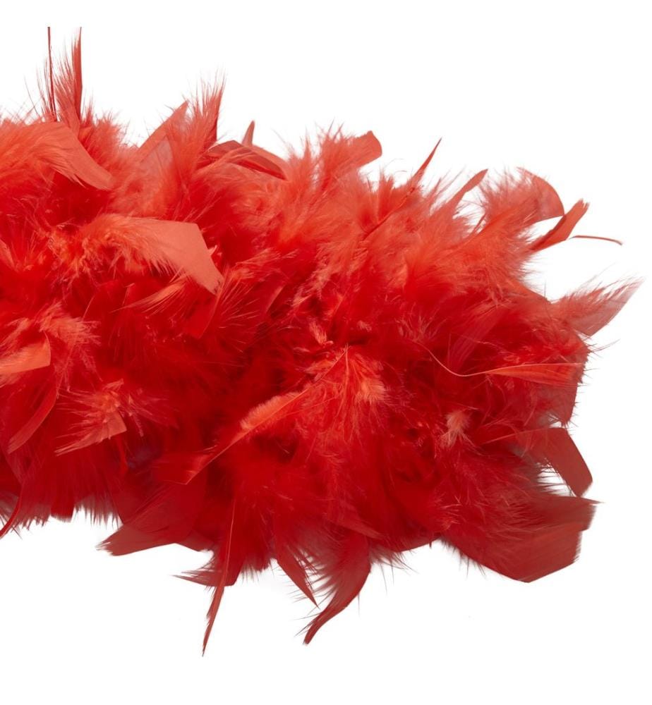 Boa et duveteux en plumes