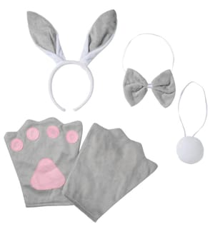 Set di accessori Coniglio