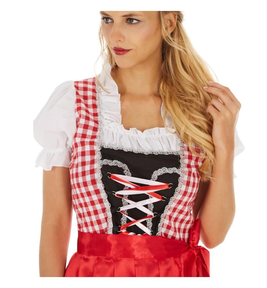 Frauenkostüm Dirndl Wiesn Madl Modell 2