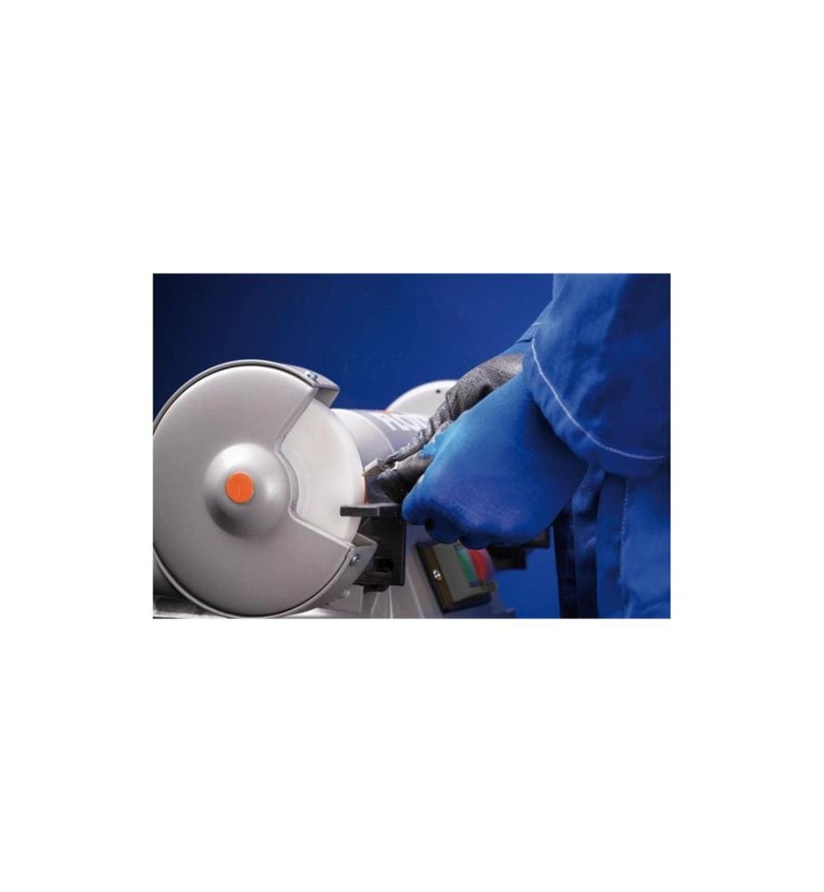 Pferd - Meules à chevalet HSS Ø 125 x 20 mm Ø de perçage 32 mm A80