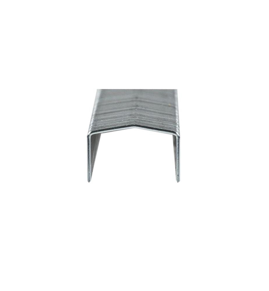 BOSTITCH - Agrafe 6 mm STCR26191/4 5000 Pièce/s