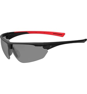 ACE - Lunettes de protection Evo EN166 Teinté Smoke