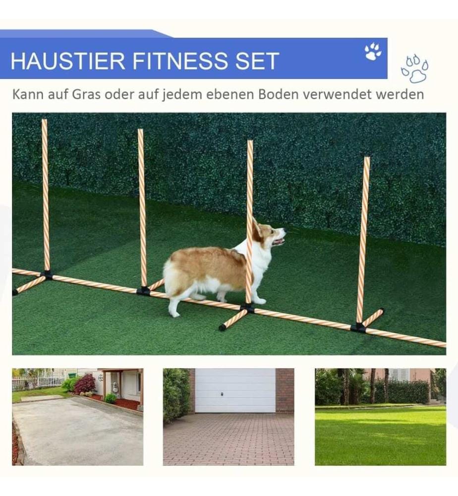 Agility Slalom Set Slalomstangen 6er 328 cm