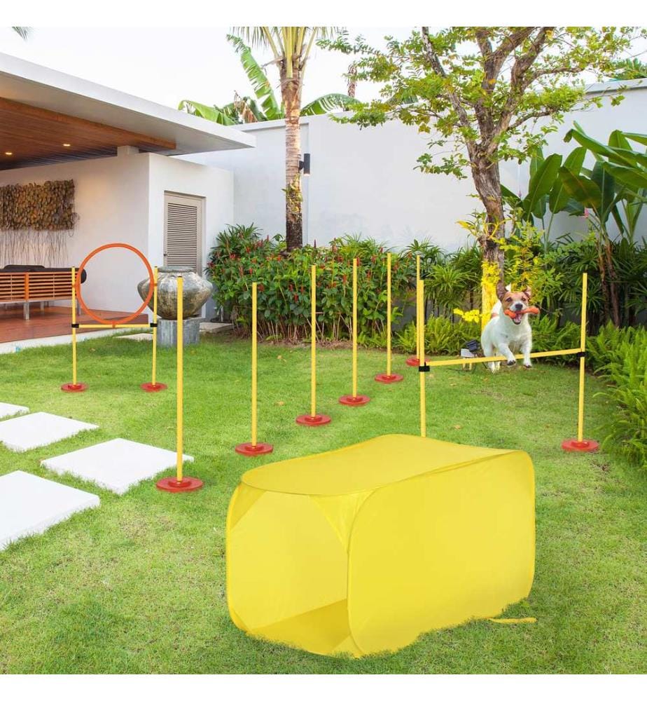 Set di ostacoli per agility con anello da slalom e tunnel